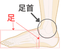 足・足首の痛み場所