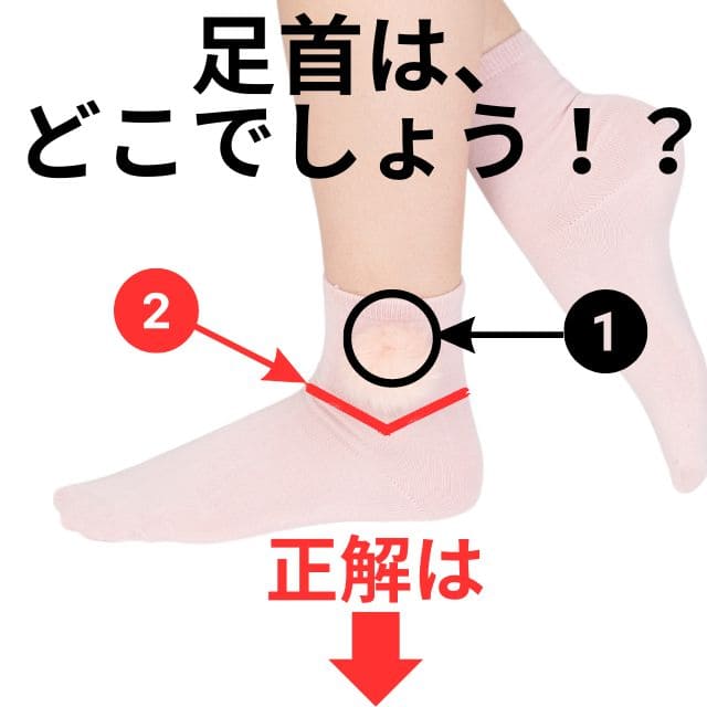 足首はどこ？