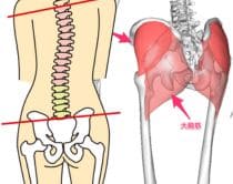 お尻の筋肉が腰痛に関係している理由|さいたま中央フットケア整体院