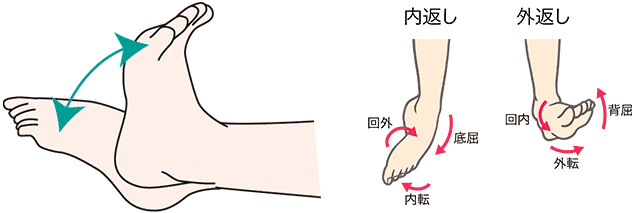 足の正しい動き