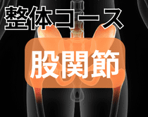 股関節の整体コース|さいたま中央フットケア整体院