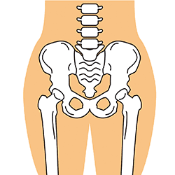 整体で整った骨盤と腰痛|さいたま中央フットケア整体院
