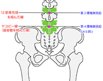 腰の整体