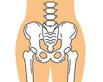 骨盤の歪み