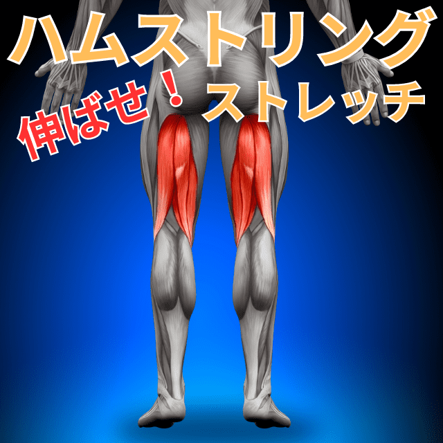 ハムストリングスのストレッチ(寝ながら)