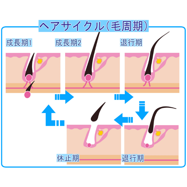 ヘアサイクル|さいたま中央フットケア整体院