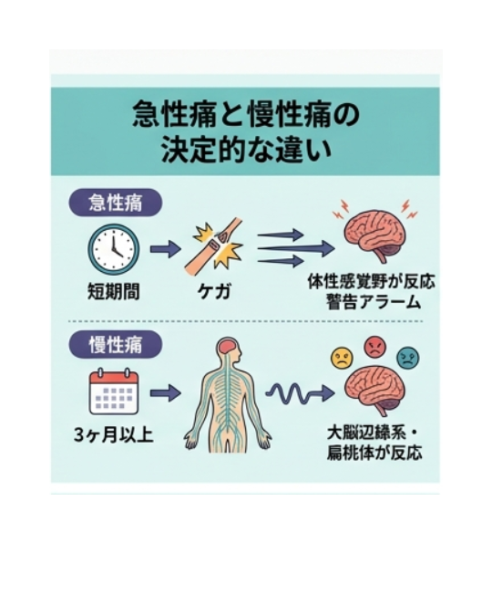 【決定版】なぜ長引く痛みは「好きなことをしている時」に消えるのか？脳の誤作動ともやもや血管のメカニズム