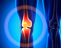 膝関節（Knee joint）
