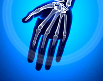 手(hand)